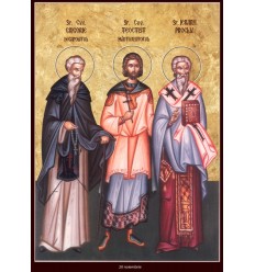 Sfintii Cuviosi Teoctist, Proclu si Grigorie Decapolitul